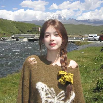 宝可梦遥远的蓝天 海报